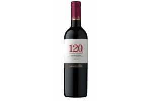 Vinho 120 Santa Rita